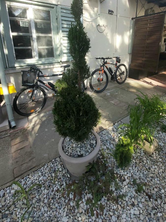 Garden Budha Relax Apartman, Parking, Bbq, Terrace 希欧福克 外观 照片